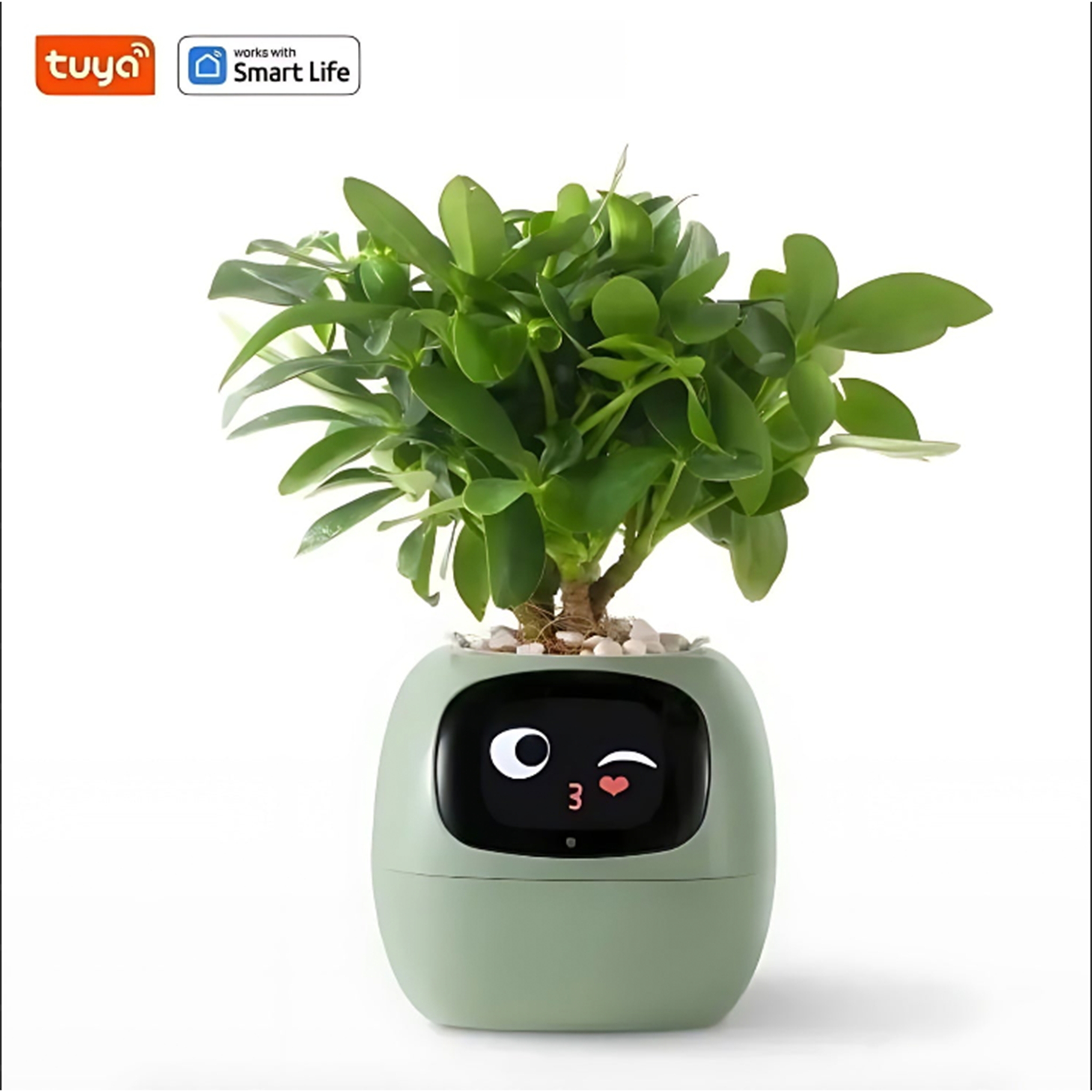 Happy Ivy™ - SMART Bloempot voor Automatische Plantenverzorging