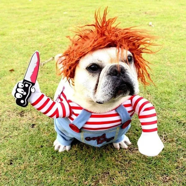 Pet Chucky™ | Het Grappigste & Engste Dierenkostuum voor Halloween!
