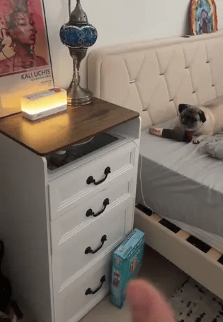 DreamGlow™ Speaker | Slaaphulp, RGB Nachtlamp & Bluetooth Geluid