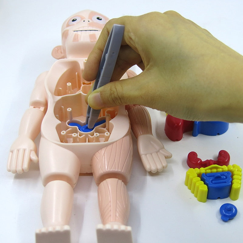 Griezelig Leuk: Kinder Anatomie Set | Educatief en Interactief Speelgoed