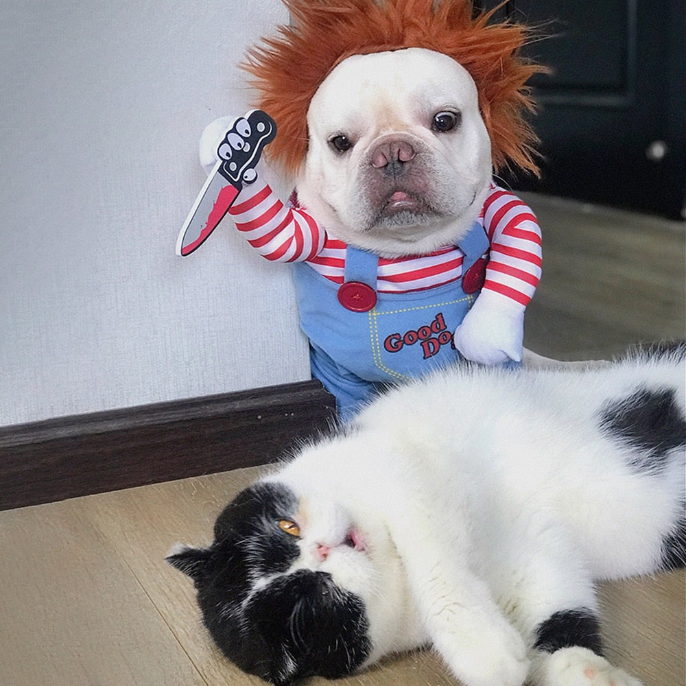 Pet Chucky™ | Het Grappigste & Engste Dierenkostuum voor Halloween!