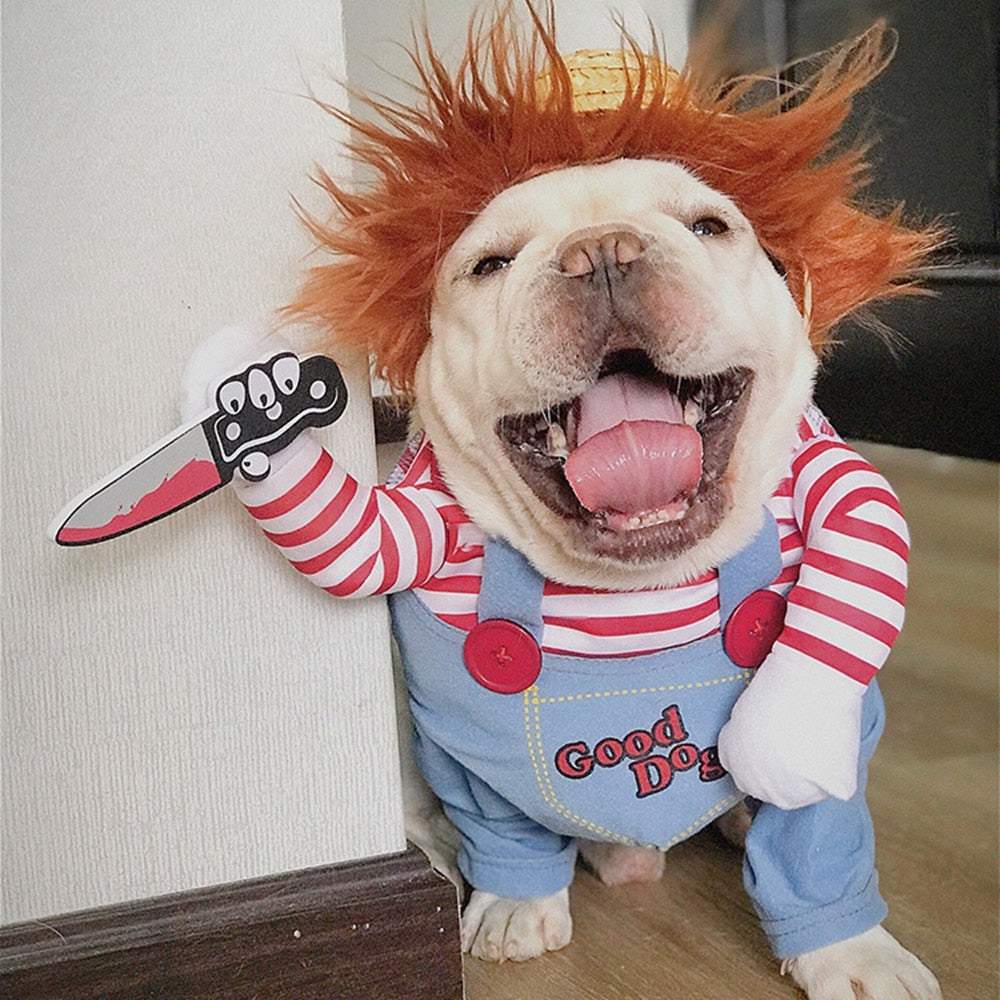 Pet Chucky™ | Het Grappigste & Engste Dierenkostuum voor Halloween!