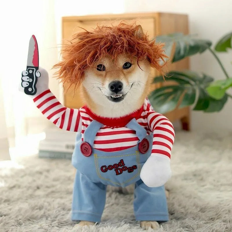 Pet Chucky™ | Het Grappigste & Engste Dierenkostuum voor Halloween!